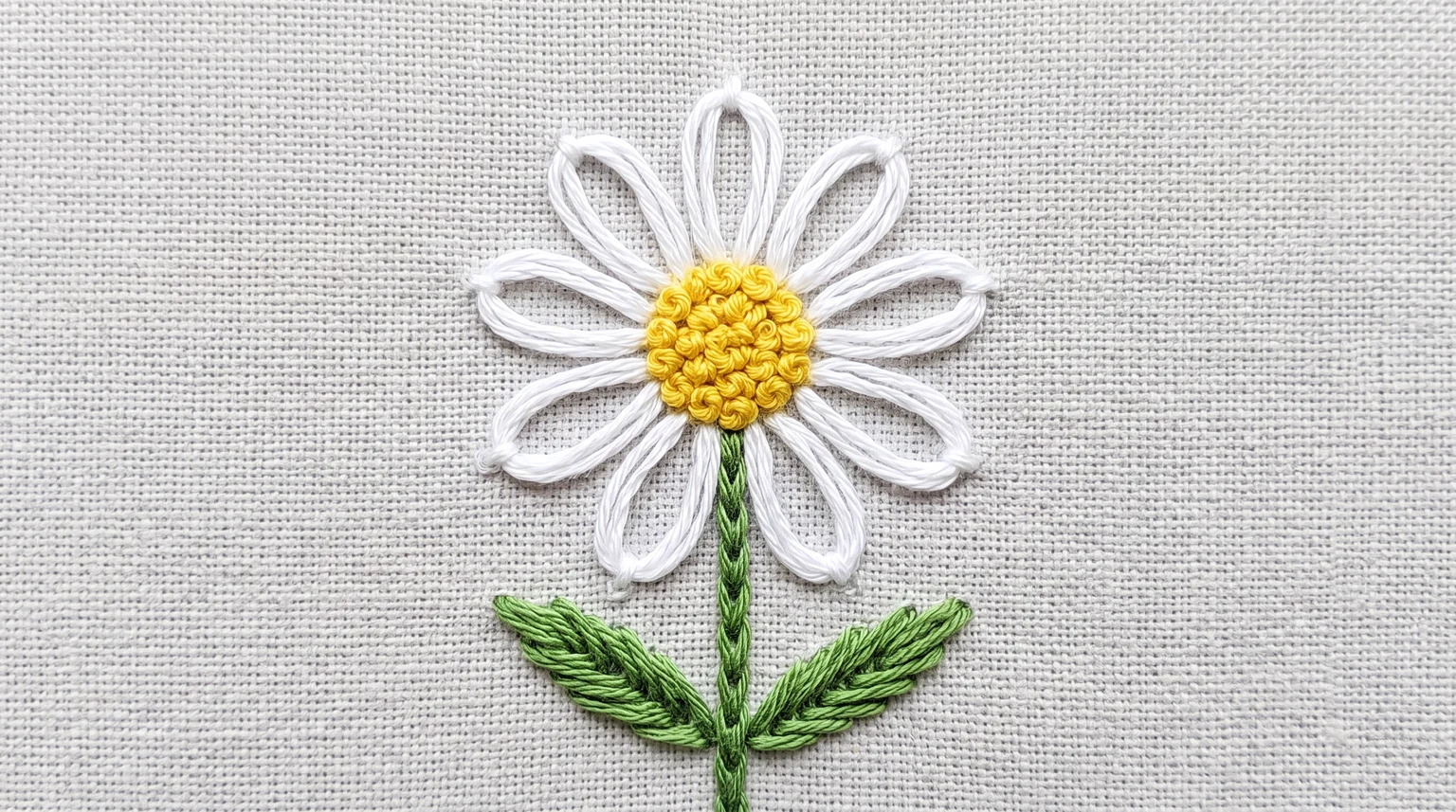 White detached-chain daisy with yellow knot center and green stem and leaves