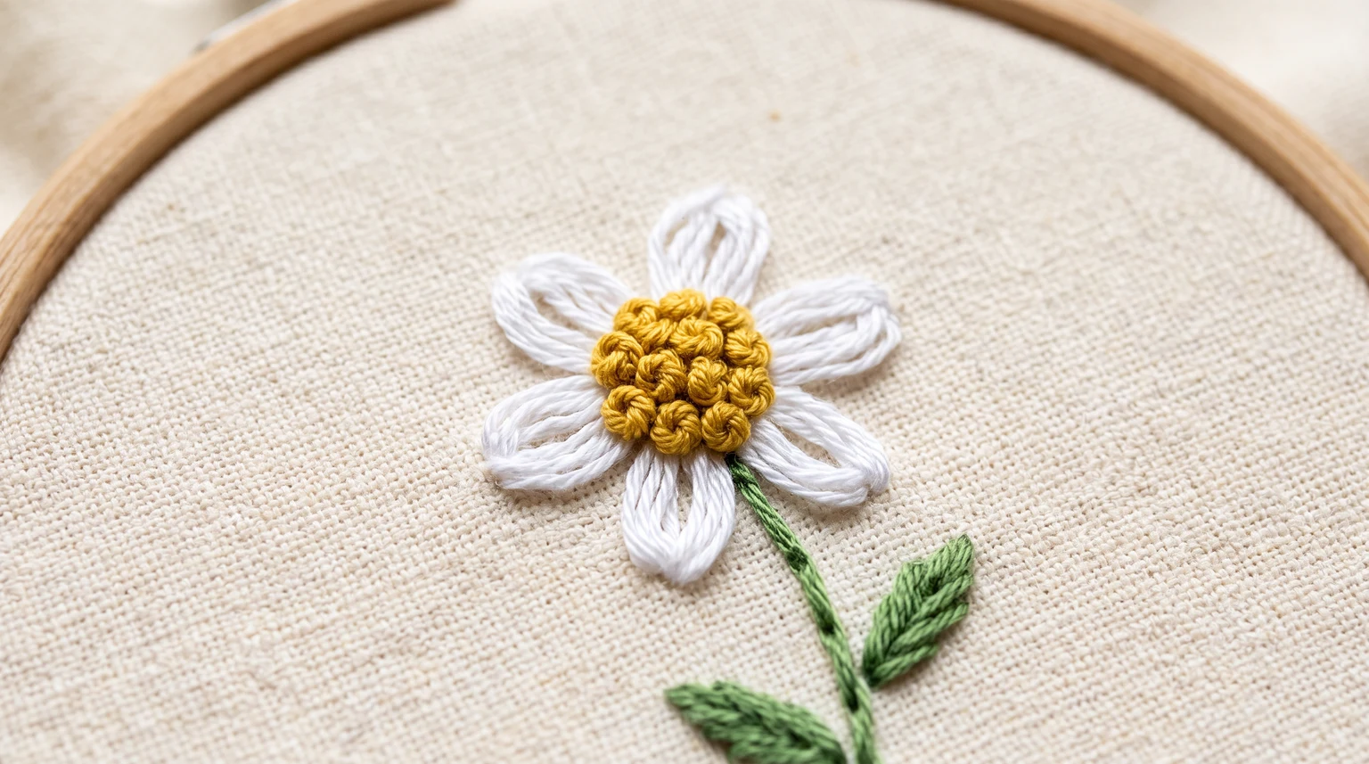 White daisy with a raised yellow knot cluster in its center